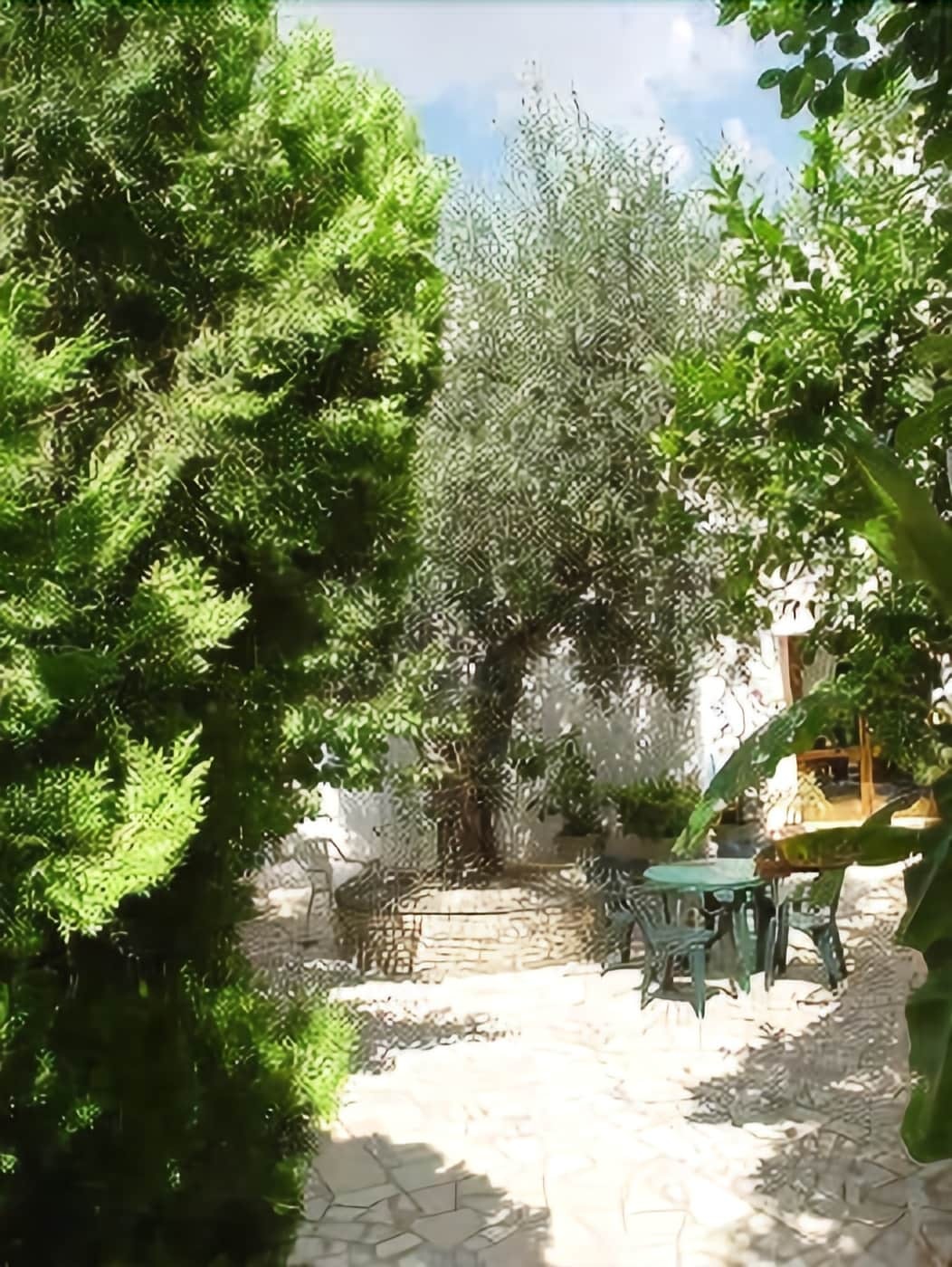 Hotel Degli Ulivi Castro  Extérieur photo